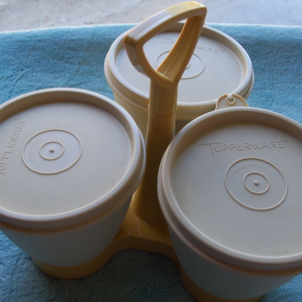Tupperware Condiment carrier